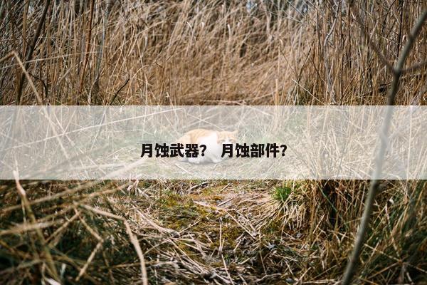 月蚀武器？ 月蚀部件？