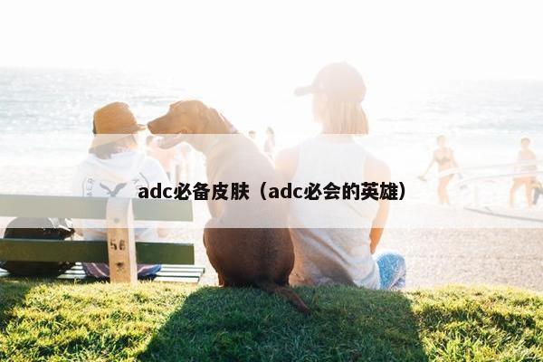 adc必备皮肤（adc必会的英雄）