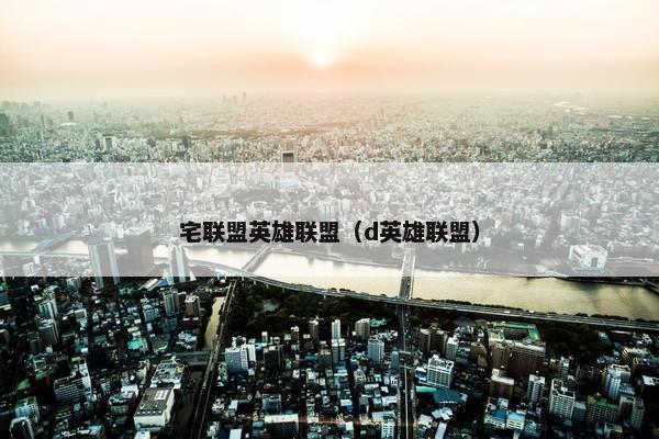宅联盟英雄联盟（d英雄联盟）