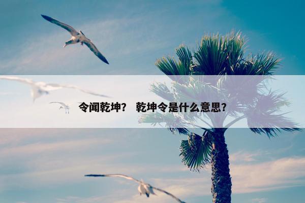 令闻乾坤？ 乾坤令是什么意思？