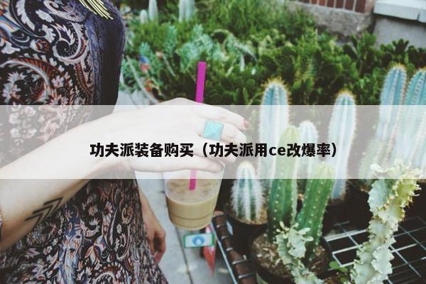 功夫派装备购买（功夫派用ce改爆率）