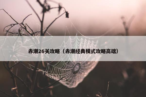 赤潮26关攻略（赤潮经典模式攻略高端）