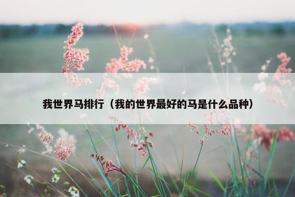 我世界马排行（我的世界最好的马是什么品种）