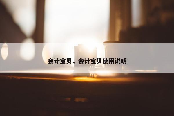 会计宝贝，会计宝贝使用说明