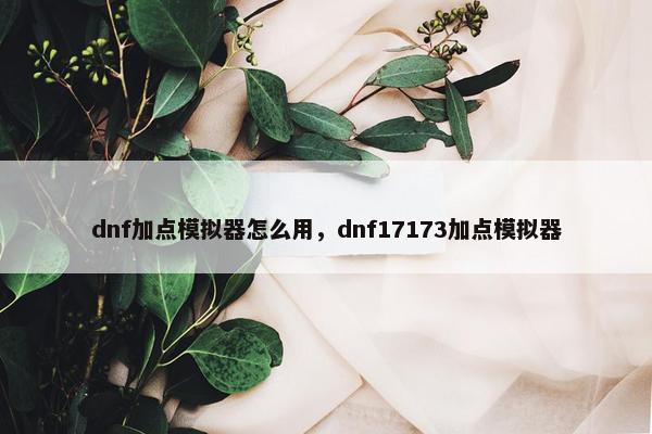 dnf加点模拟器怎么用，dnf17173加点模拟器