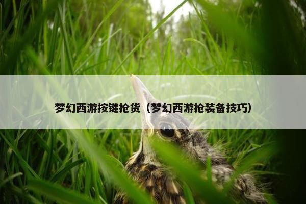 梦幻西游按键抢货（梦幻西游抢装备技巧）