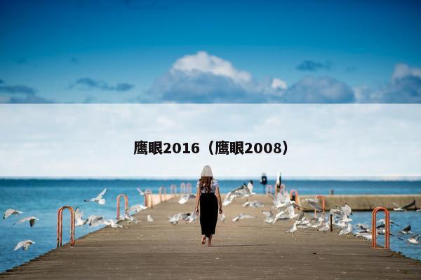 鹰眼2016（鹰眼2008）