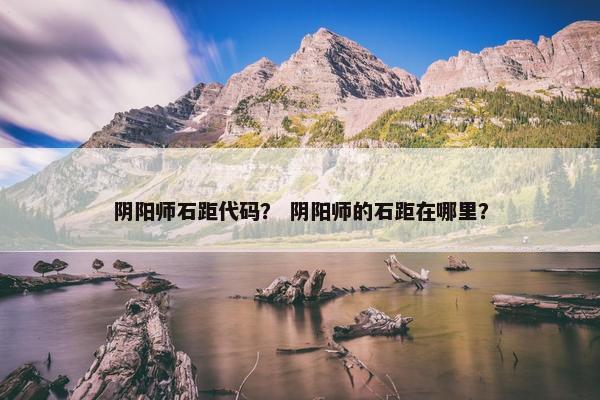 阴阳师石距代码？ 阴阳师的石距在哪里？