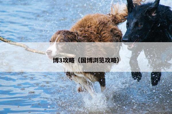 博3攻略（国博浏览攻略）