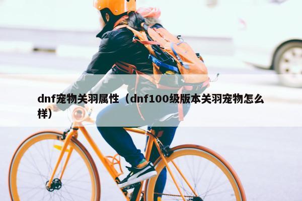 dnf宠物关羽属性（dnf100级版本关羽宠物怎么样）