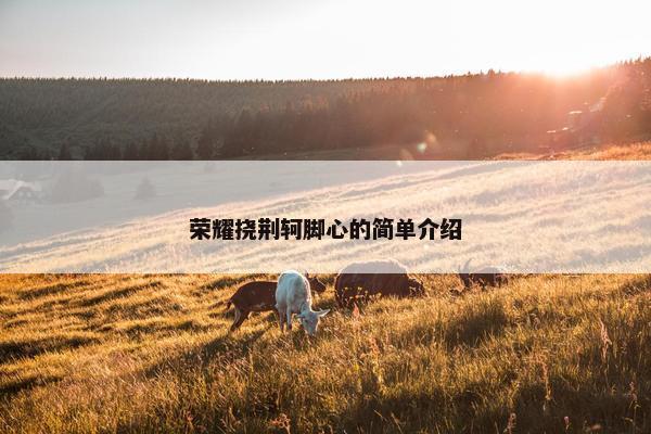 荣耀挠荆轲脚心的简单介绍