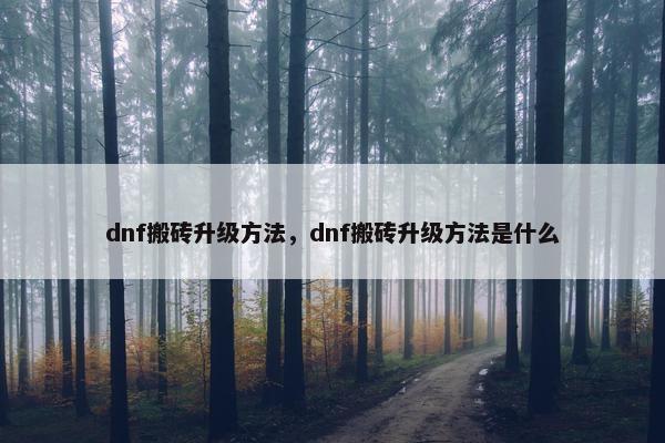 dnf搬砖升级方法，dnf搬砖升级方法是什么