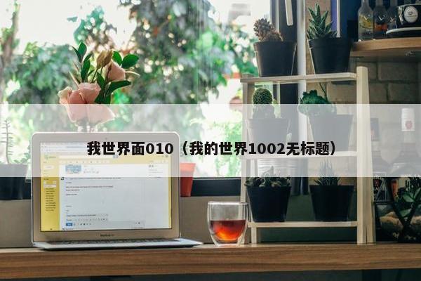 我世界面010（我的世界1002无标题）