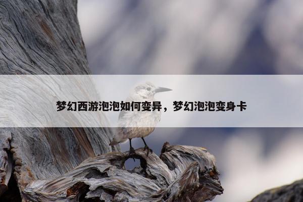 梦幻西游泡泡如何变异，梦幻泡泡变身卡