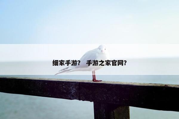 细家手游？ 手游之家官网？