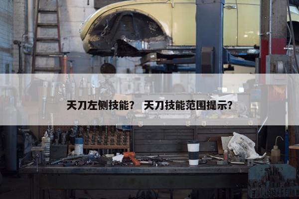 天刀左侧技能？ 天刀技能范围提示？
