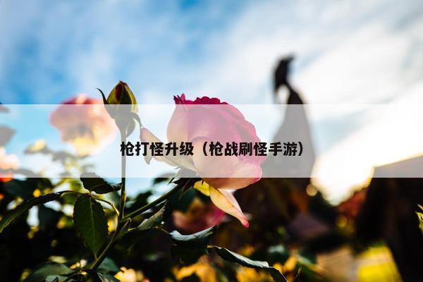 枪打怪升级（枪战刷怪手游）