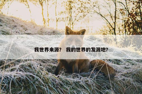 我世界来源？ 我的世界的发源地？