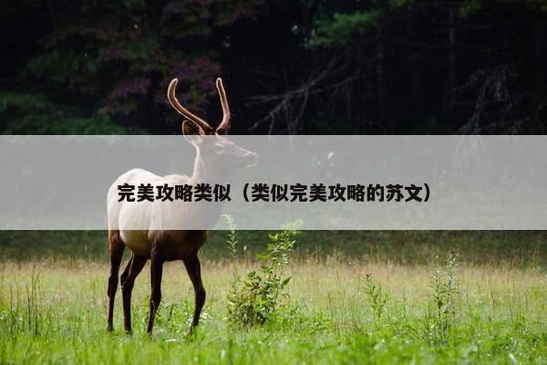 完美攻略类似（类似完美攻略的苏文）