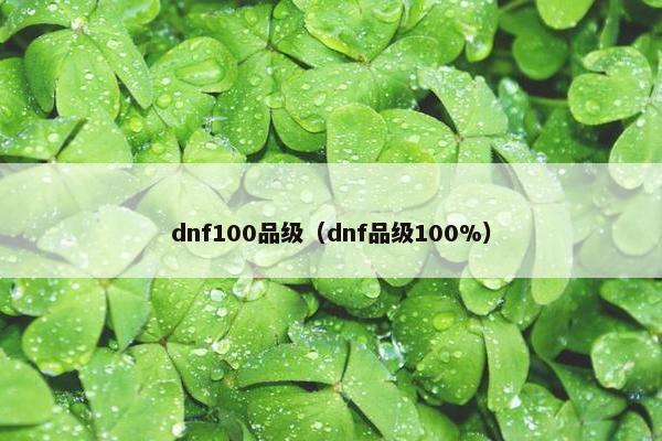 dnf100品级（dnf品级100%）