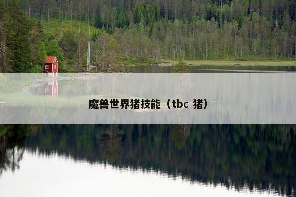 魔兽世界猪技能（tbc 猪）
