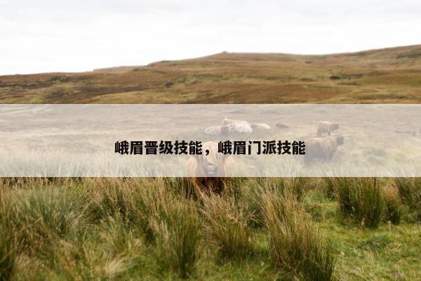 峨眉晋级技能，峨眉门派技能