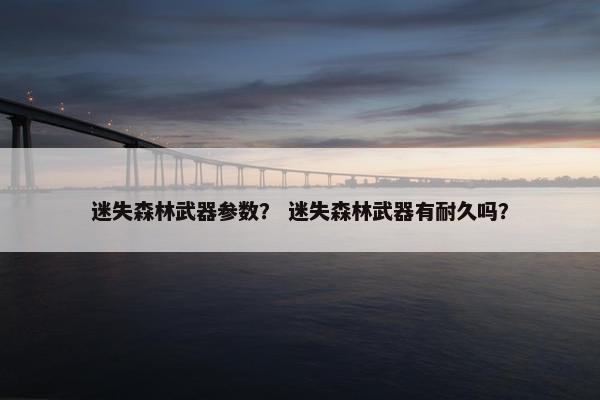迷失森林武器参数？ 迷失森林武器有耐久吗？