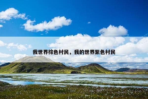 我世界棕色村民，我的世界紫色村民