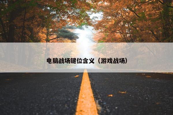 电脑战场键位含义（游戏战场）