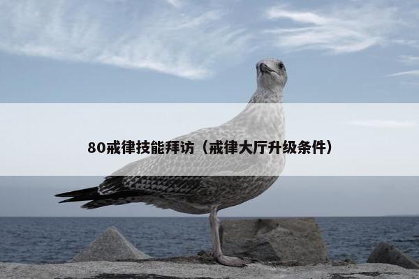 80戒律技能拜访（戒律大厅升级条件）