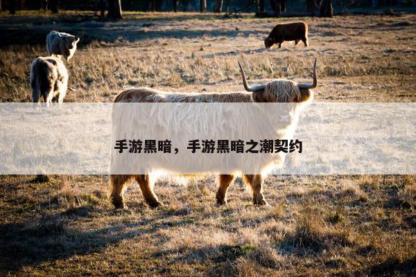 手游黑暗，手游黑暗之潮契约