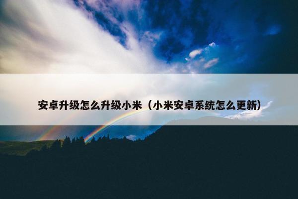 安卓升级怎么升级小米（小米安卓系统怎么更新）