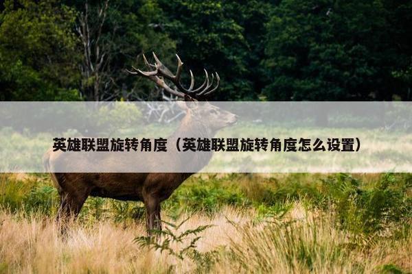 英雄联盟旋转角度（英雄联盟旋转角度怎么设置）