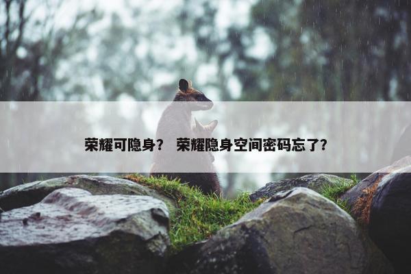 荣耀可隐身？ 荣耀隐身空间密码忘了？