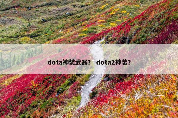 dota神装武器？ dota2神装？