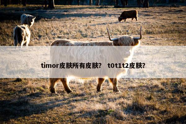 timor皮肤所有皮肤？ t0t1t2皮肤？