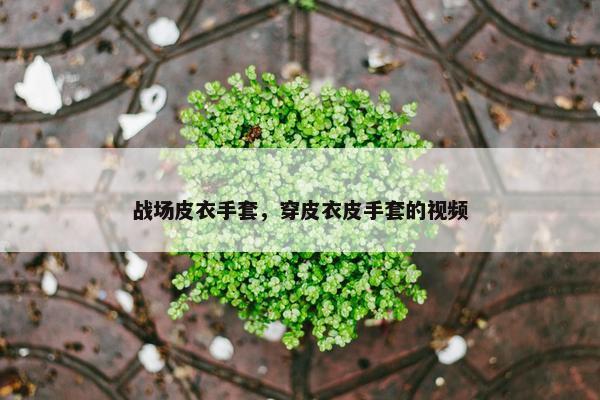 战场皮衣手套，穿皮衣皮手套的视频