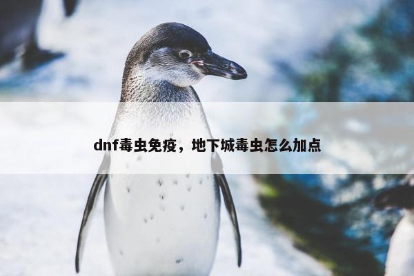 dnf毒虫免疫，地下城毒虫怎么加点
