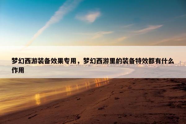 梦幻西游装备效果专用，梦幻西游里的装备特效都有什么作用