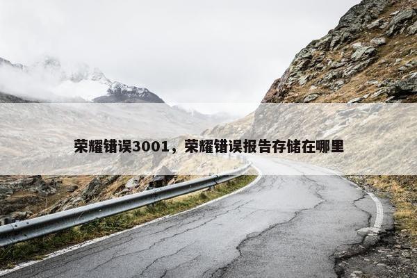 荣耀错误3001，荣耀错误报告存储在哪里