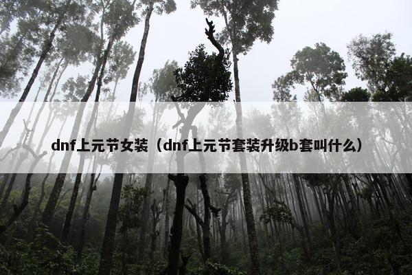 dnf上元节女装（dnf上元节套装升级b套叫什么）