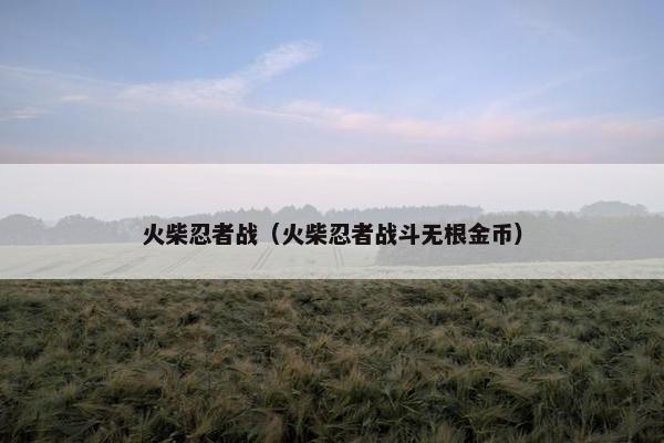 火柴忍者战（火柴忍者战斗无根金币）