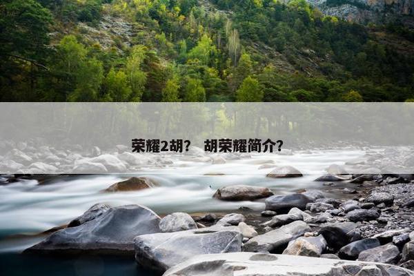 荣耀2胡？ 胡荣耀简介？