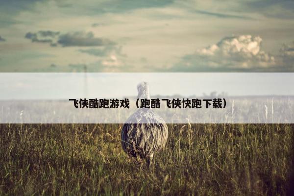 飞侠酷跑游戏（跑酷飞侠快跑下载）