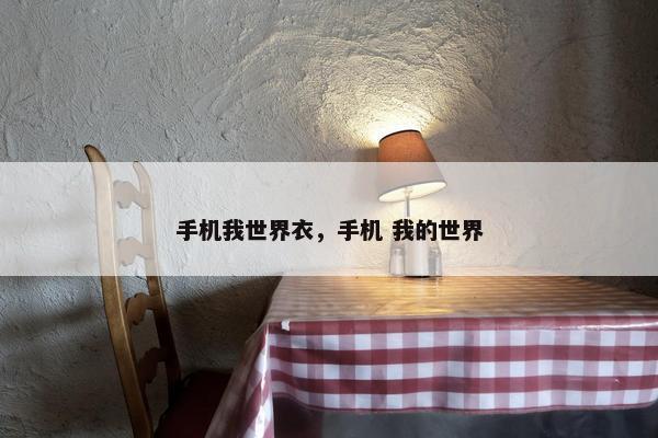 手机我世界衣，手机 我的世界