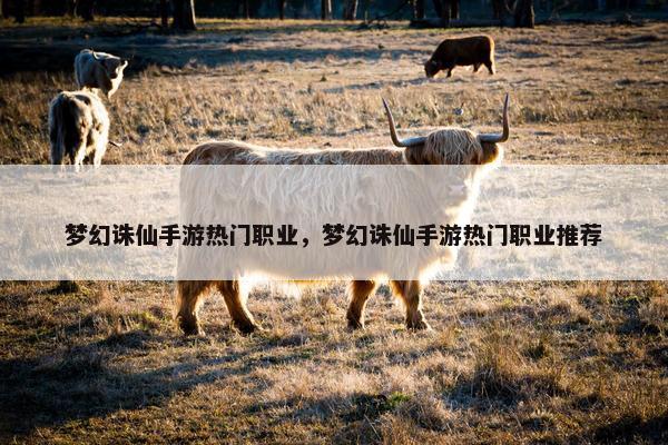 梦幻诛仙手游热门职业，梦幻诛仙手游热门职业推荐