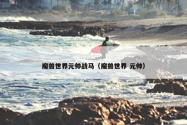 魔兽世界元帅战马（魔兽世界 元帅）
