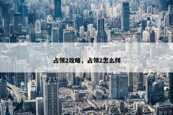 占领2攻略，占领2怎么样