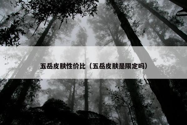 五岳皮肤性价比（五岳皮肤是限定吗）