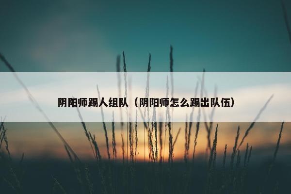 阴阳师踢人组队（阴阳师怎么踢出队伍）